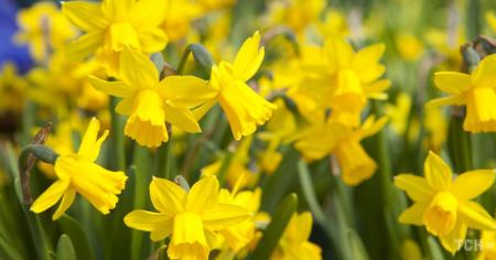 ad6cca53d77ef359480d50d533bb431d_12.0426