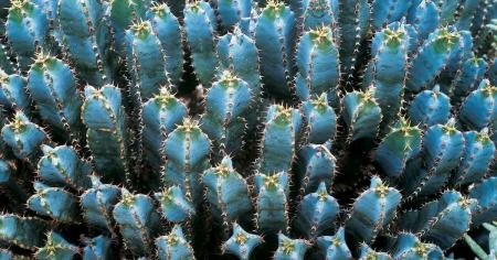 ae58744433efc3274d39eb1481f70a9f_05.04.26