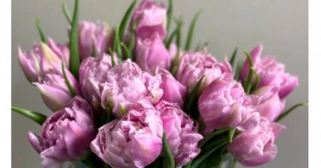 ae794e0f529046a7c069984b286b12c8_28.03.26_1