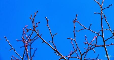 b044452c144ee88fe4fc2ca94a0e71d9_18.03.26