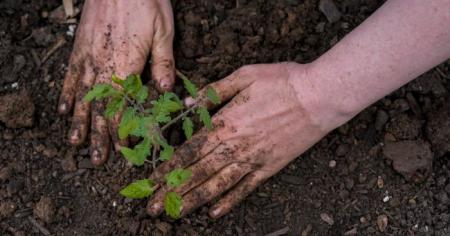 b0c5b839cc7881fad910512883e56a27_14.04.26_1