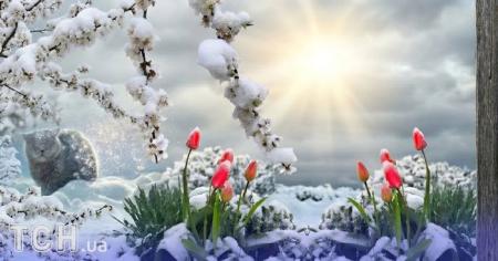 b1133e659957f8b43a2a4073a697ca6a_26.04.26_1