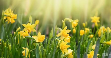 b49a3599d7dee4656d749d3abe94aad8_04.04.26