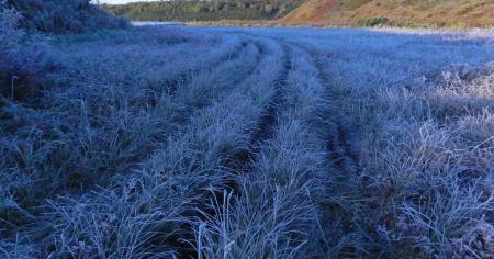 b6cec76bd7edc554f280f763573c5f99_04.04.26