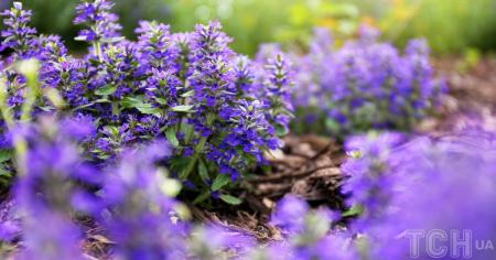 b76b0c733f62320ac5764764cd55507c_27.04.26