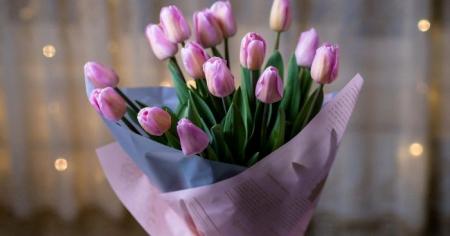 b7f549f5bddc87b339dd78870955c945_08.03.26_1