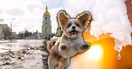 b95b2e2cc4cf1b8550c4b2155d979bec_02.03.26_1