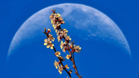 bb1fc9997ba41842847cf3cd1a3ce147_1200x675_20.03.26