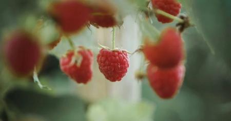 bcfb326f749718f739ade99a9847d462_09.04.26_1