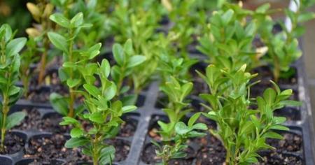 bd38eeab509dc1b150221ae90bfc7284_07.03.26_1