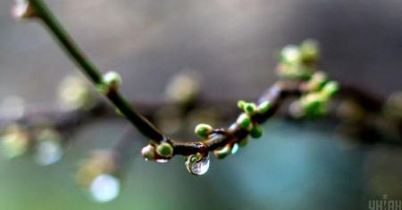 bf2b28f5536d6245b7853ab17a123079_13.04.26_1