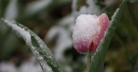 bf33fdcfd9f4eeb93c094c434c37a8e2_26.03.26_1