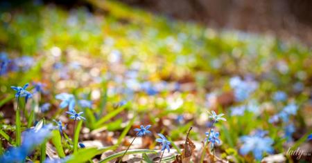 bf615aa4aa36ceff8dec5bc187a8e3b3_22.03.26