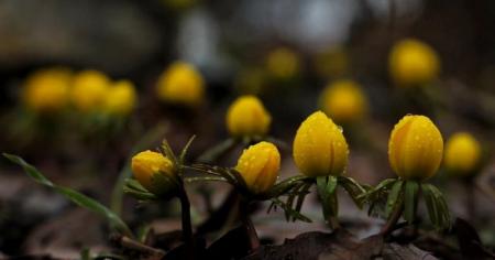 bf907c5b52e977efdf248e54b0d68fe9_21.03.26_1