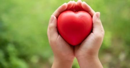 c040642dbc245a1b6c0529fdf205fded_17.04.26_1