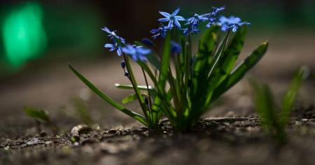 c104983bd88ccb89eed11705965c47d8_03.04.26_1