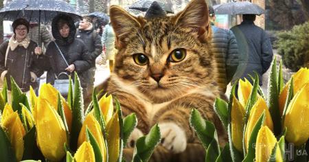 c1d27af21712dee6228fdb83370ed680_05.03.26