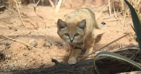 c2a3ddbfc62345b1fa22596d82b6d210_21.02.26_1