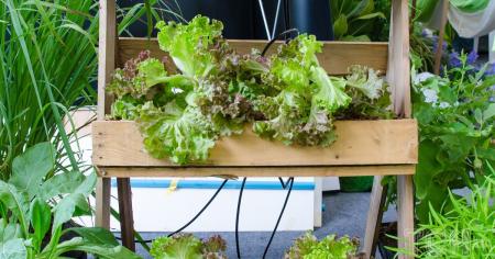 c39f968b25c213e4f51d1cd5922829a0_08.04.26