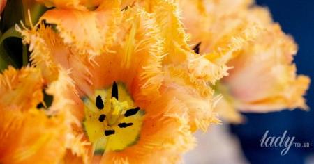 c6870bc4aca886bf041a8f10c19f7d74_25.04.26_1