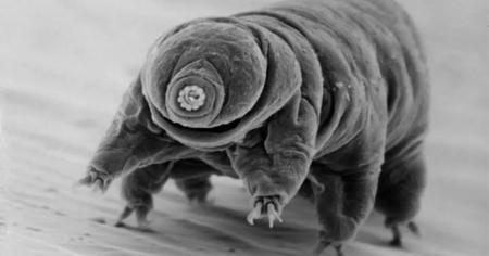 c8345abf3cb104dc8fb50bea74e75f59_16.03.26_1