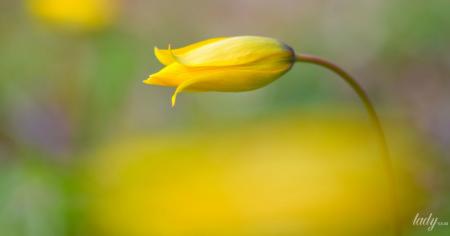 c98c95b1b77006c7a5026c910bbff9e1_20.04.26