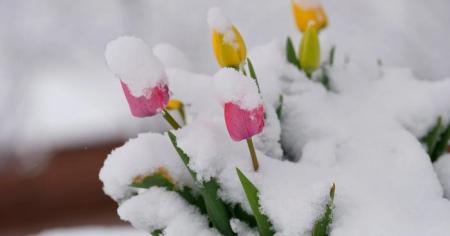 ca2c7b54eaaf679652be0a07bbec95f4_21.04.26_1