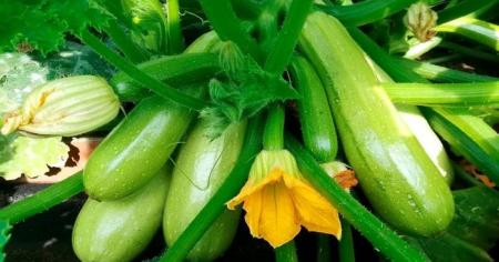 cac7a823e48a9242d0e2ccfd942b8fce_03.04.26_1