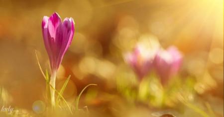 cb4231d84ed03a2b2f014dc9524659b1_19.03.26_1