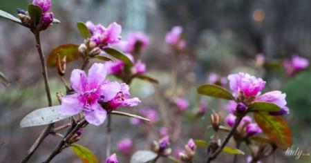 ce87e2ecb2990eab149ada0bf7f74033_07.04.26_1