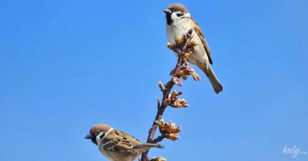 cfdb692a0f77cdf1db522f6dd5638260_13.03.26_1