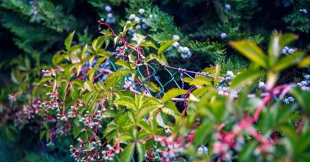 cfec4a51dbf1869f197adee1e7e5c0b7_11.04.26_1