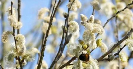 d1e6c946c8b25fff7bfc5612d8132f53_04.04.26_1