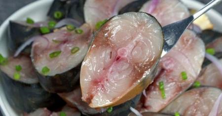 d2ae1d04e7a9575f7f4cd44582f75b57_07.03.26_1