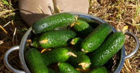 d48af722f5728f234a3733f3b4dc0945_07.04.26_1