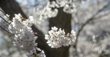 d7b9397c63cc68d9a80097e7185071ed_01.04.26_1