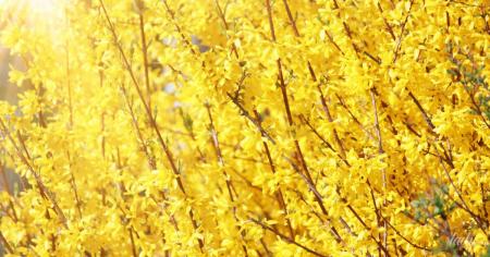 d8676946f4920eaec19c43376803273f_24.03.26