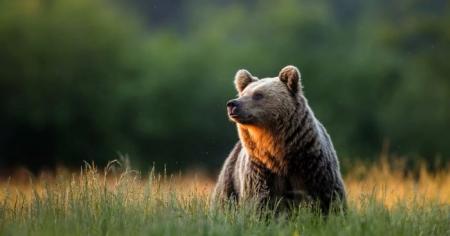 d89c1bdb36e62567332d2674ae42b03e_12.02.26_1