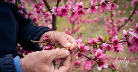 d99b98b11c121513c88f8d2a17948473_23.04.26_1