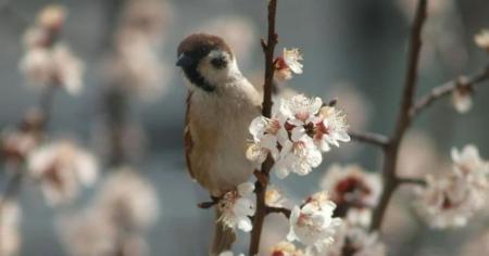 Нічні морози та +19 вдень: Україну накриють погодні гойдалки — де буде найхолодніше