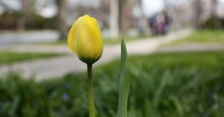 da92c762f36c5e4b9b0a40bf03a45016_08.03.26_1