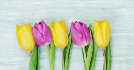 dca53cd7567b34018c62f02e0acf8157_09.03.26