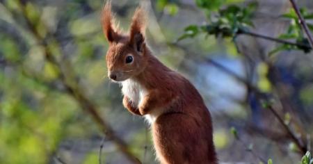 ddb80292026e8ca4c53f2a4432856b2e_19.04.26_1