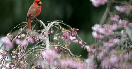 ddc16391e77bc0d43dd4f96d537579c3_31.03.26_1