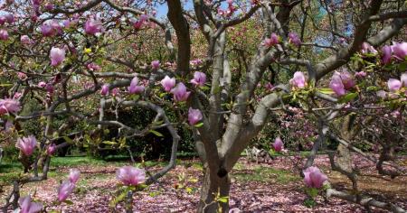 de03384191d6b9c00b18144975dde83e_03.04.26