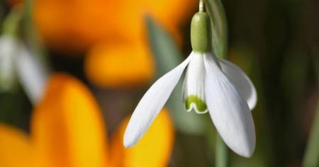 dfff6781ceb4d8df6a55ce59ea51d4d6_19.02.26_1