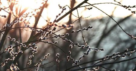 e0c86900377f391dc031299f807ea37e_21.02.26_1