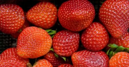 e129bd676aaa543b709068f8d559922c_12.04.26_1