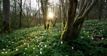 e1dae401673b973b3055df1d6927fe74_24.03.26