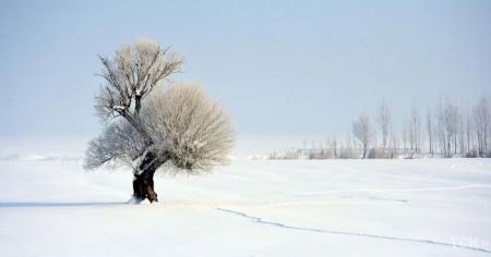 e22742db9d2e51c58e781875731f0c5d_15.02.26_1